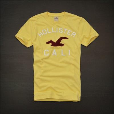 Hollister Men Shirts-339